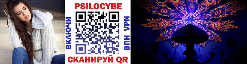 Псилоцибиновые грибы Psilocybe  где купить наркоту  Рославль 